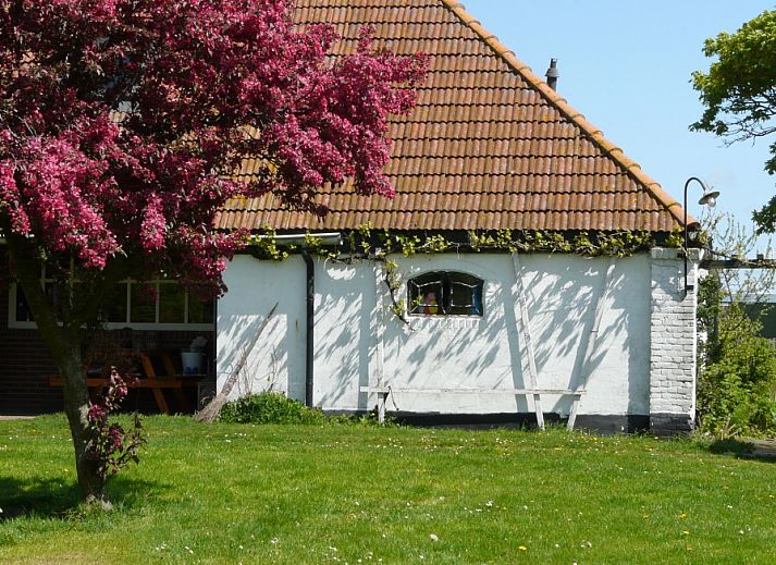 Guest house 010625 • Holiday property Texel • De Viersprong 